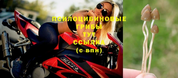крисы Абдулино