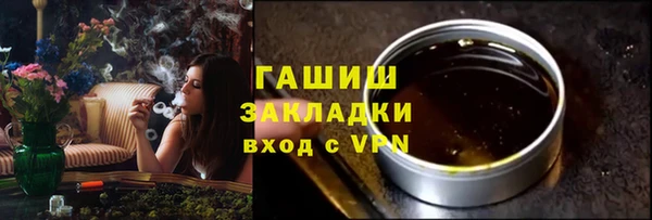 индика Новозыбков