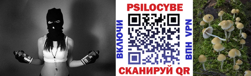 Псилоцибиновые грибы Psilocybe  сколько стоит  Алагир 